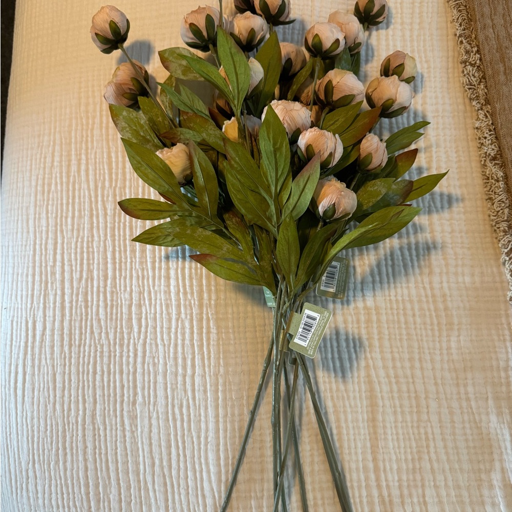 Ashland Tan Peony Stems (8)